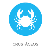 Contiene Crustáceos